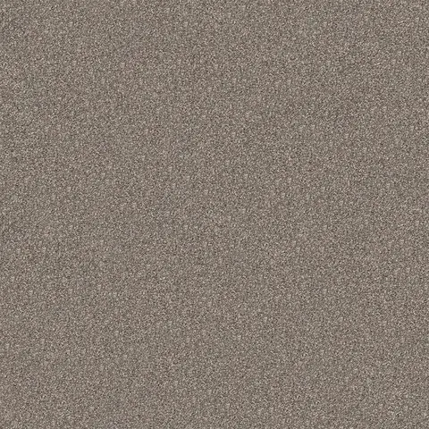 Tropical Tan carpet swatch